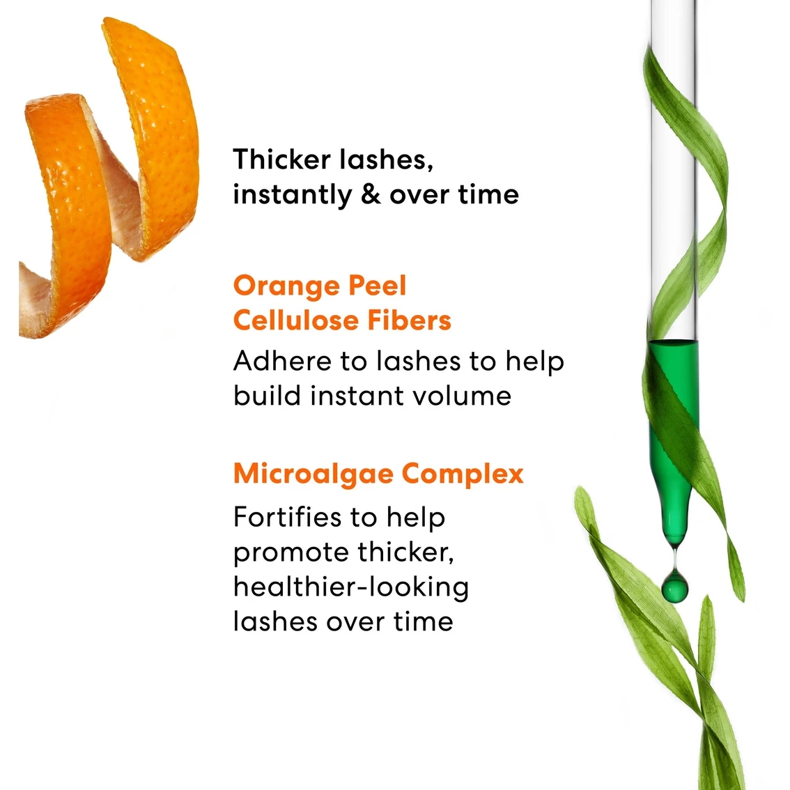 Best deal ❤️ BareMinerals MAXIMIST Phyto Fiber Volumizing Mini Mascara 🤩 7 Best deal ❤️ BareMinerals MAXIMIST Phyto Fiber Volumizing Mini Mascara 🤩 - Image 5